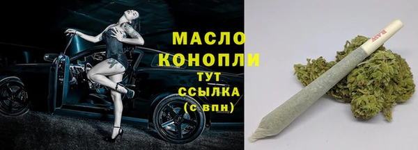 индика Артём
